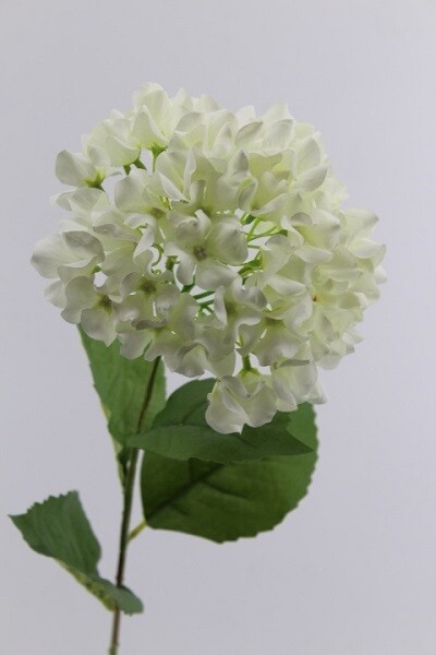ORTENSIA GRANDE CM 69 BIANCO