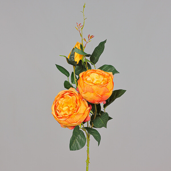 ROSA RAMIFICATA  GRANDE ARANCIONE