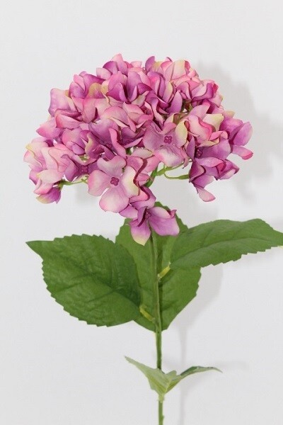 ORTENSIA GRANDE CM 69 ROSA