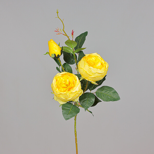 ROSA RAMIFICATA  GRANDE GIALLO