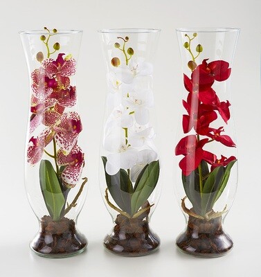 COMPOSIZIONE ORCHIDEA IN VASO VETRO cm 50