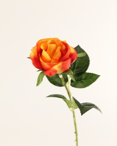 BOCCIOLO ROSA GRANDE ARANCIO