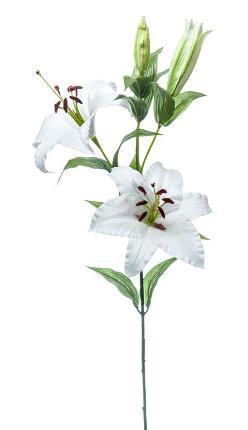 TIGER LILLY X3 BIANCO
