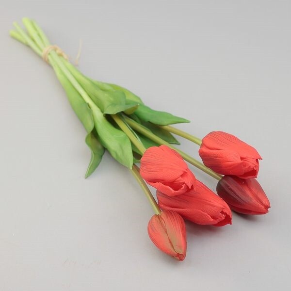 MAZZO TULIPANO X 5 CM 13*48 RED