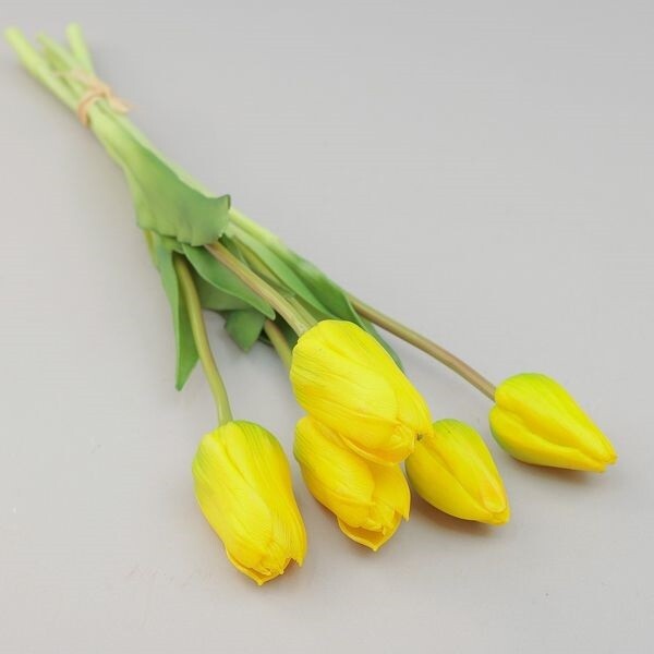 MAZZO TULIPANO X 5 CM 13*48 YELLOW