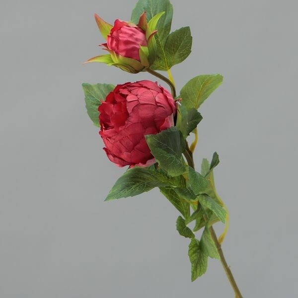 RAMO PEONIA  X  2 CM  78 BEAUTY