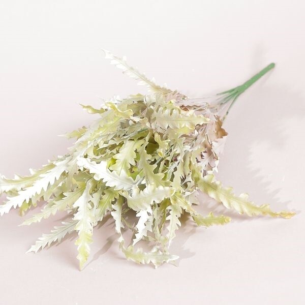 MAZZO TARASSACO CM 45 WHITE GREEN