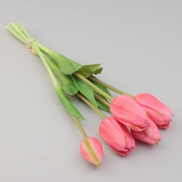 MAZZO TULIPANO X 5 CM 13*48 DARK PINK