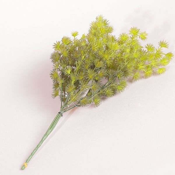 MAZZO PINO MARITTIMO X 19 CM 35 WHITE GREEN