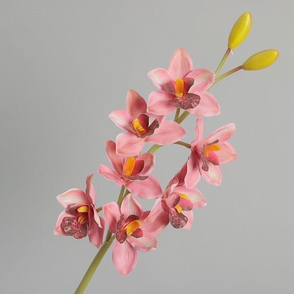 CIMBIDIUM LUSSO REAL TOUCH ARANCIONE