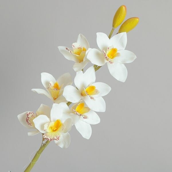 CIMBIDIUM LUSSO REAL TOUCH BIANCO