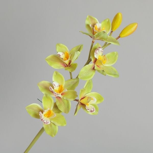 CIMBIDIUM LUSSO REAL TOUCH GIALLO