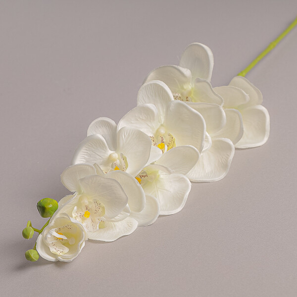 FIORE ORCHIDEA LUSSO BIANCO