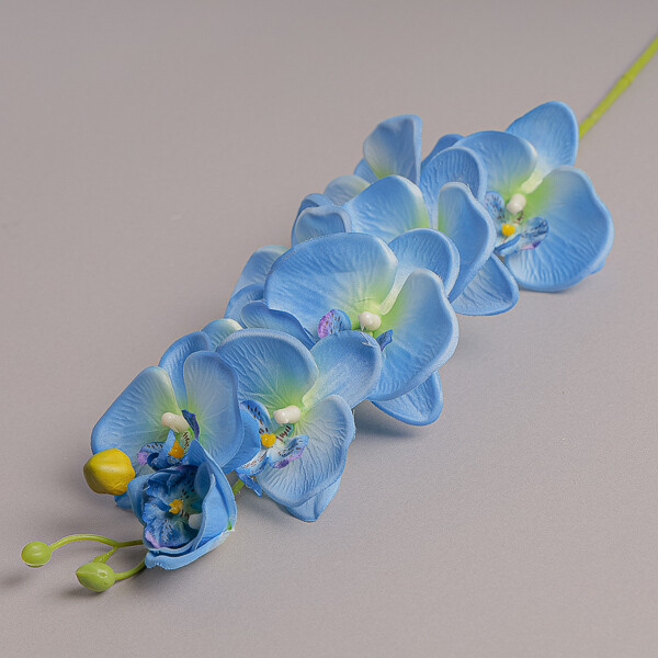 FIORE ORCHIDEA LUSSO BLU