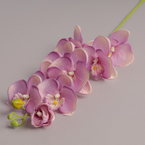 FIORE ORCHIDEA LUSSO ROSA
