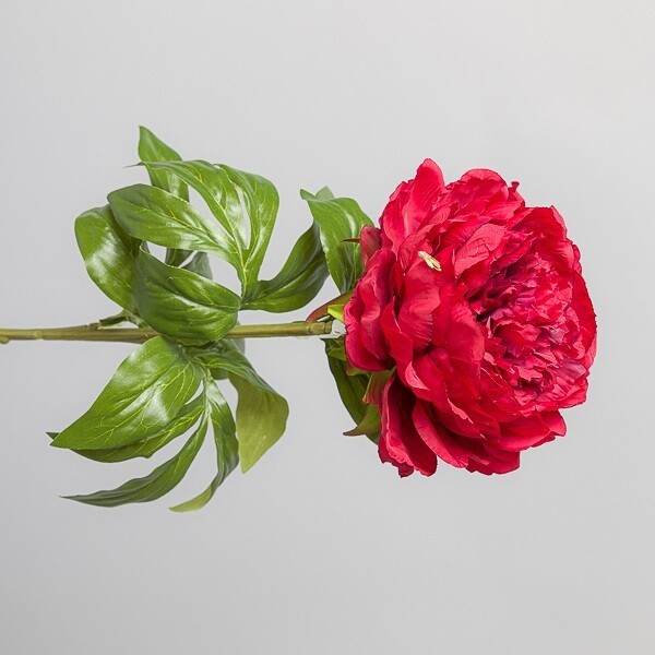 FIORE PAEONIA MEDIA ROSSO