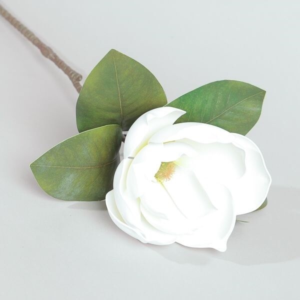 MAGNOLIA GRANDE BIANCO