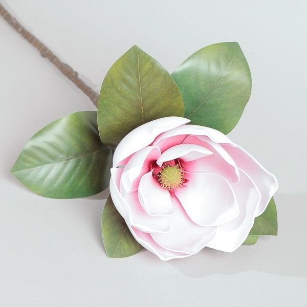 MAGNOLIA GRANDE ROSA