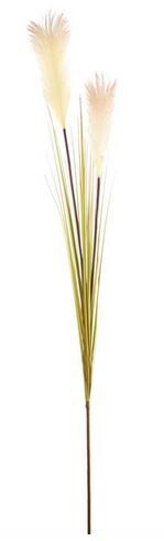 TRALCIO PENNISETUM CREAM CM.120