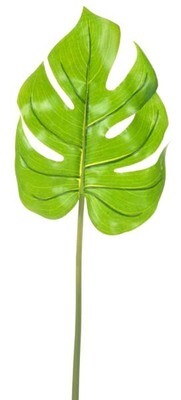 FOGLIA VERDE GRANDE