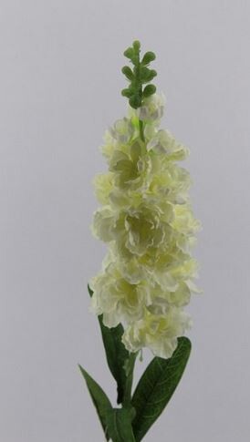 DELPHINIUM LUSSO BIANCO