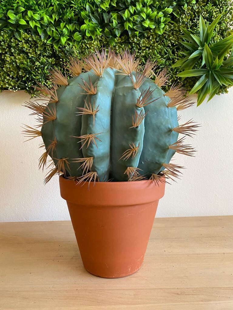 CACTUS H.33 D.40 CM