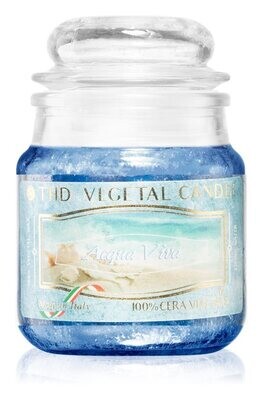 THD VEGETAL CANDLE 100 GR ACQUA VIVA 6/60