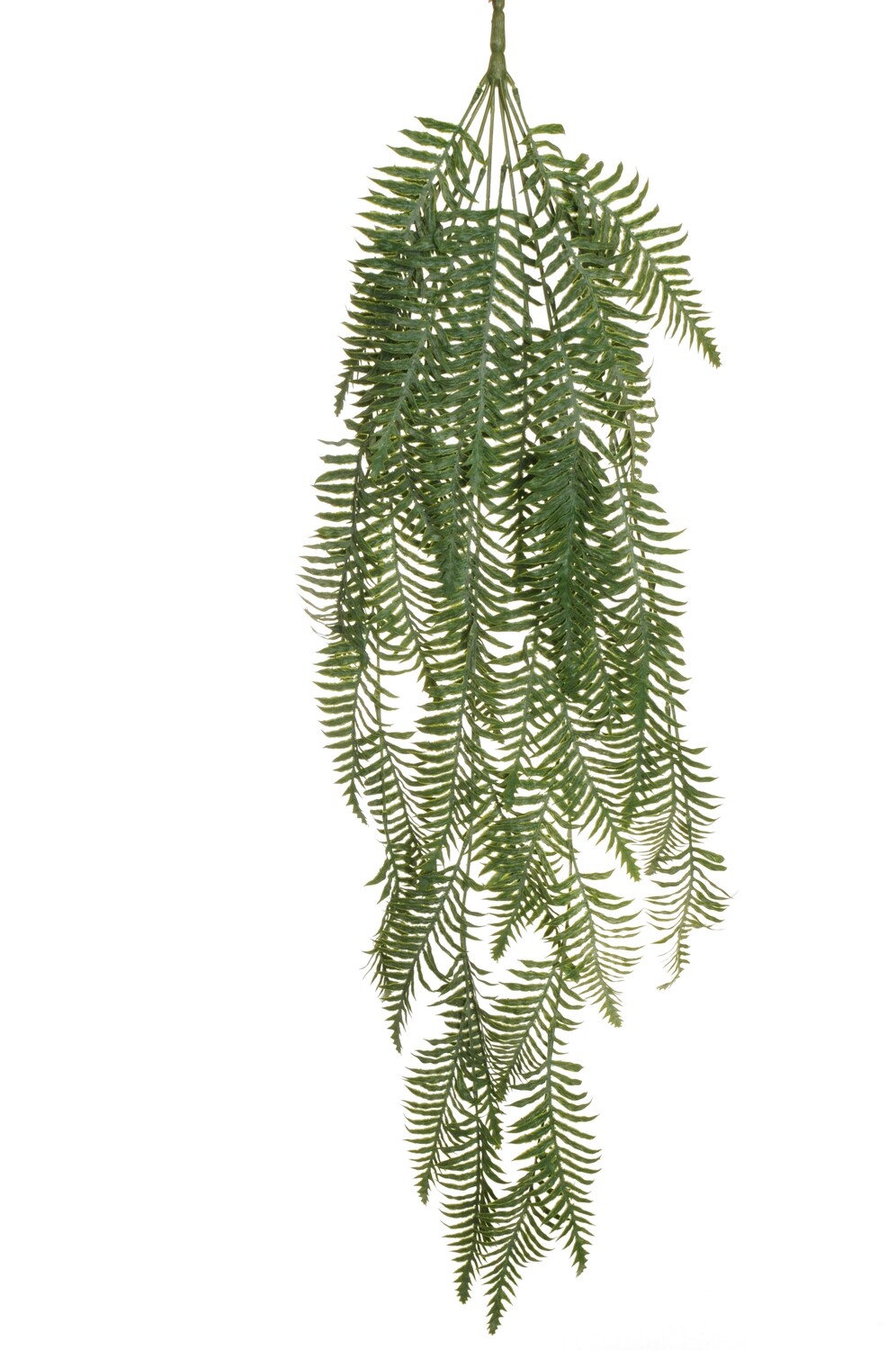MAZZO CADENTE DI FELCE X6, 116 CM
