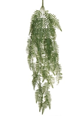 MAZZO CADENTE DI FELCE X6, 116 CM