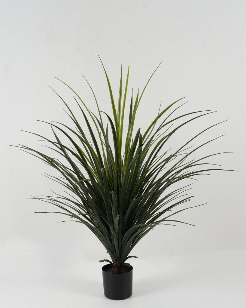 PIANTA YUCCA 73X73X85 CM IN VASO
