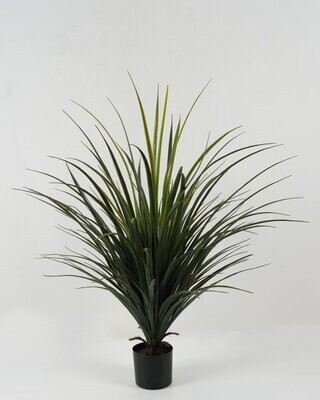 PIANTA YUCCA 73X73X85 CM IN VASO