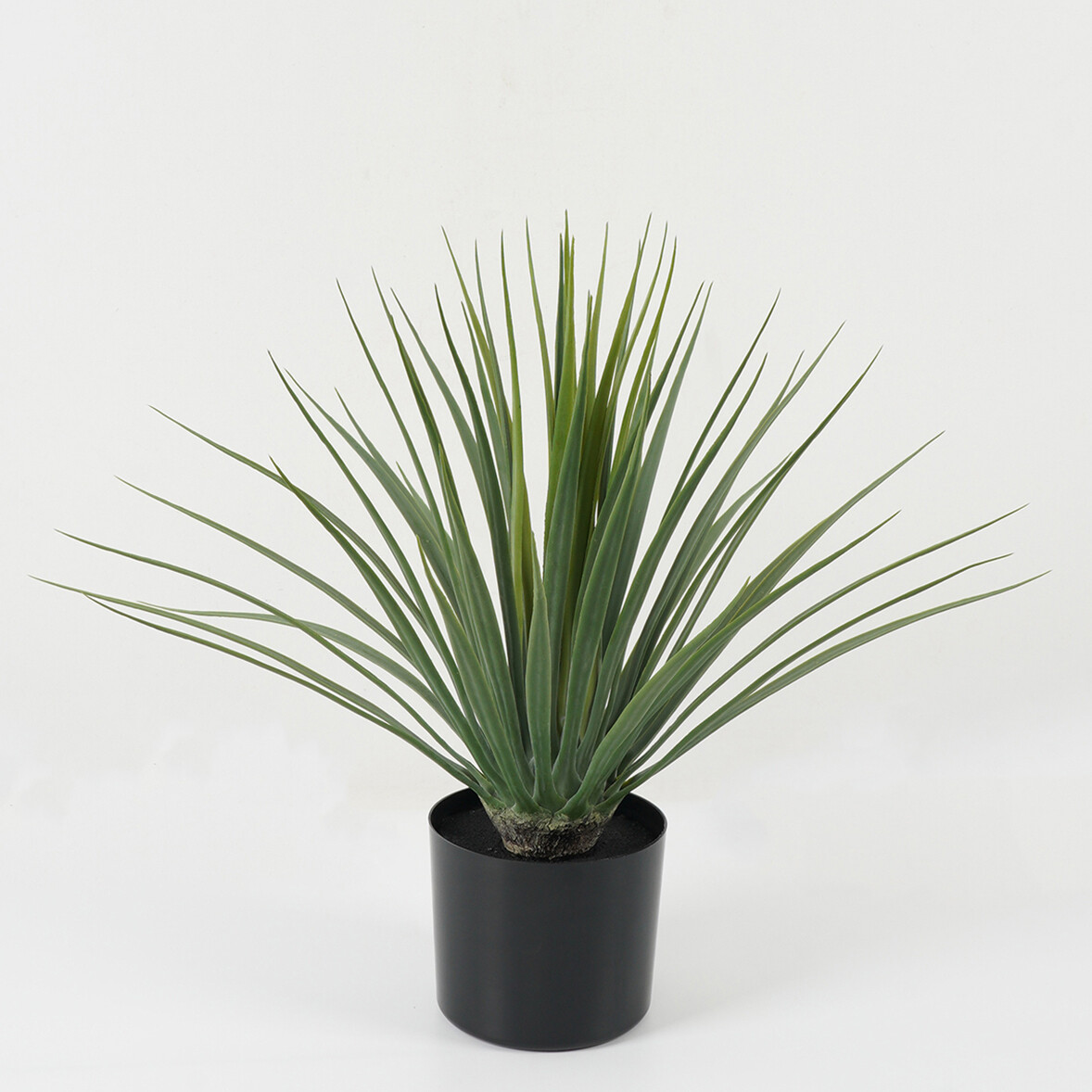 PIANTA DRACENA IN VASO 61X61X49CM