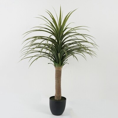PIANTA EQUISETO IN VASO 80X80X115CM