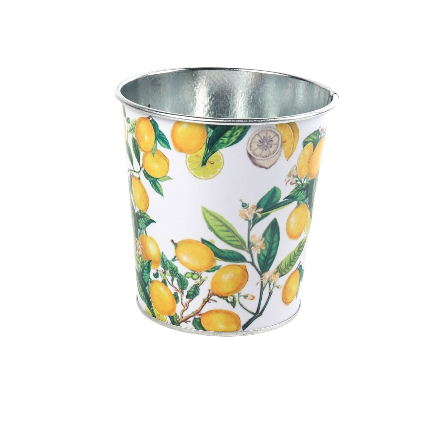 CASPO&#39; D13 H11,5 LIMONI