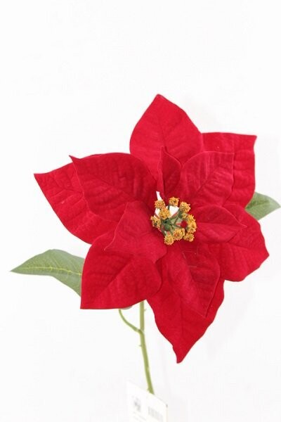 RAMO STELLA NATALE  CM 61 RD