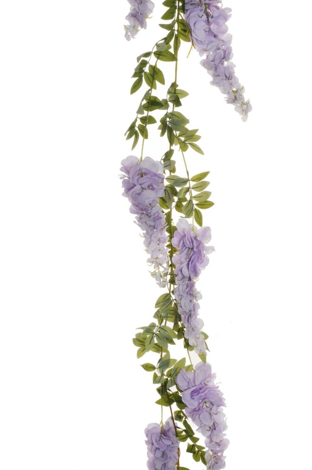 FESTONE GLICINE C/7GRUP FIORI 187C LILLA