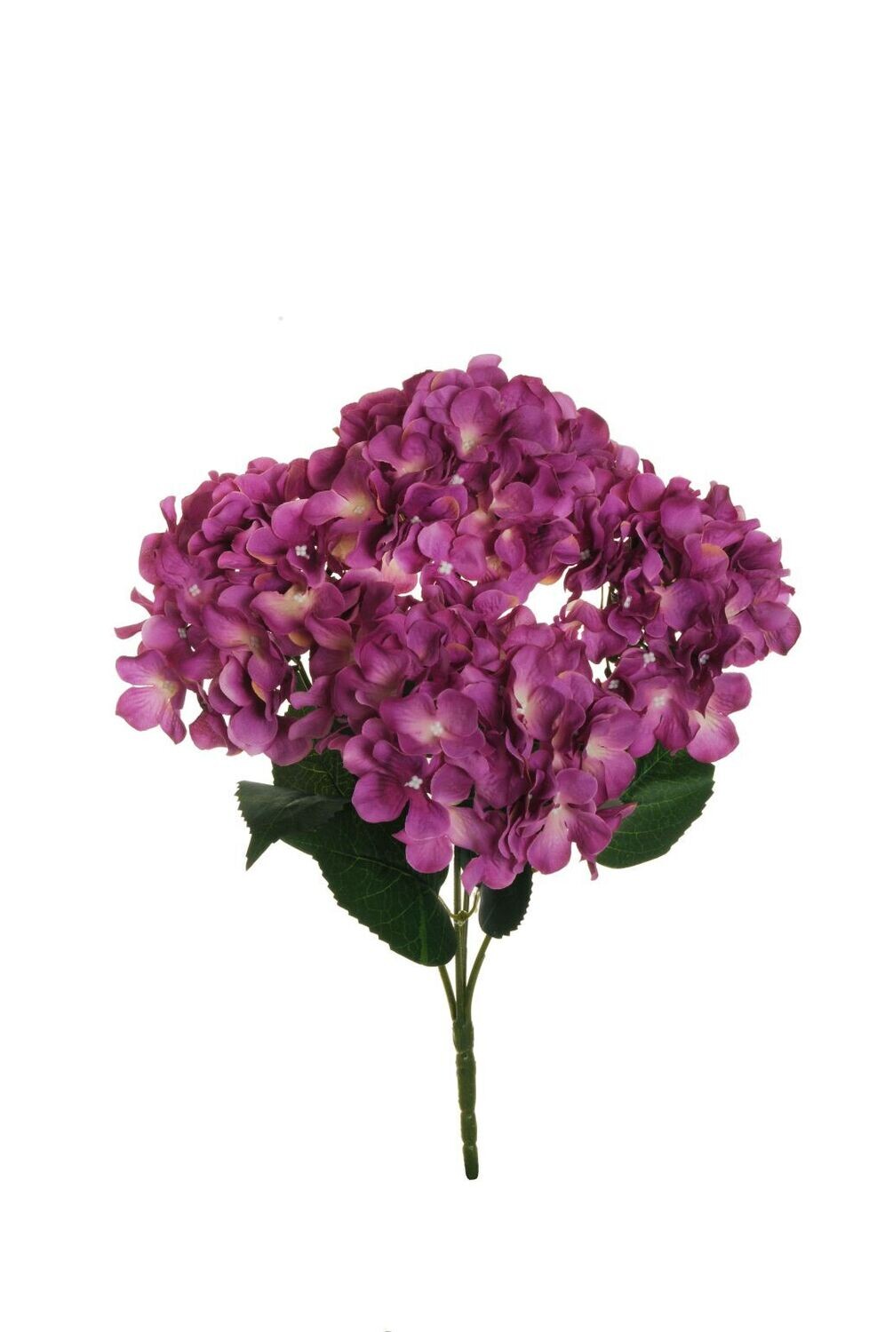 ORTENSIA CON 5 RAMI 48CM BEAUTY