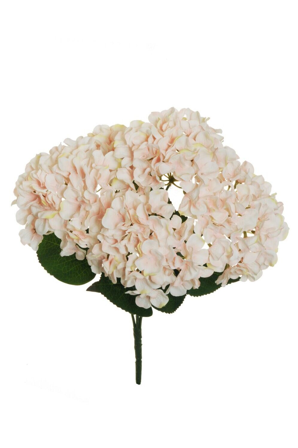 ORTENSIA CON 5 RAMI, 48CM BIANCO