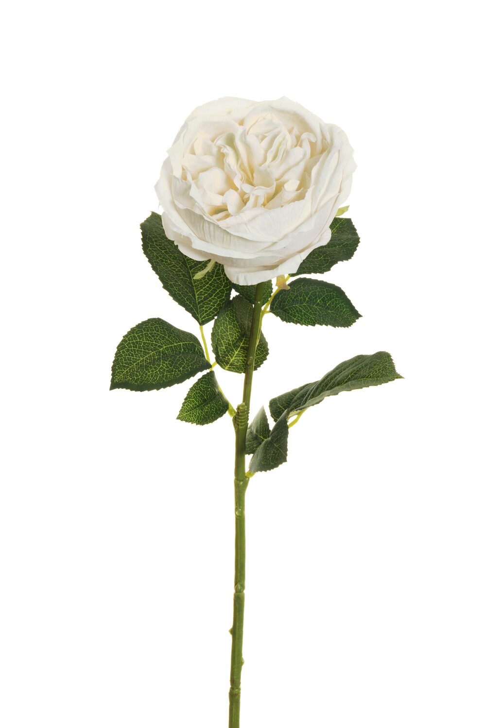 ROSA CABBAGE C/3 SETS FOGLIE 64CM BIANCO