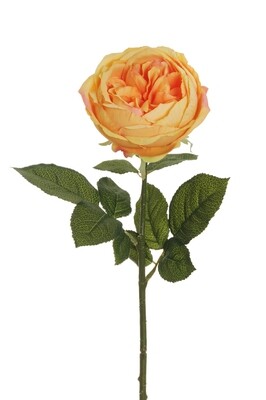 ROSA CABBAGE C/3 SET FOGLIE 64CM GIALLO