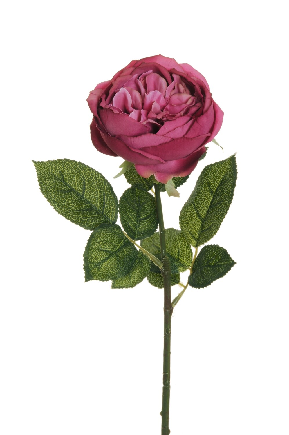 ROSA CABBAGE C/3SETS FOGLIE 64CM ROSA