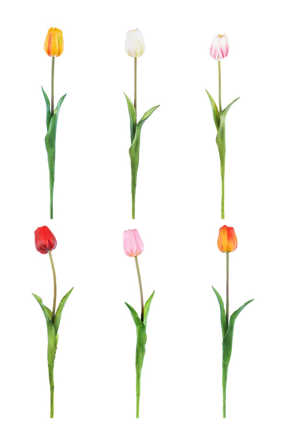 TULIPANO IN GOMMA CON DUE FOGLIE ASSORT
