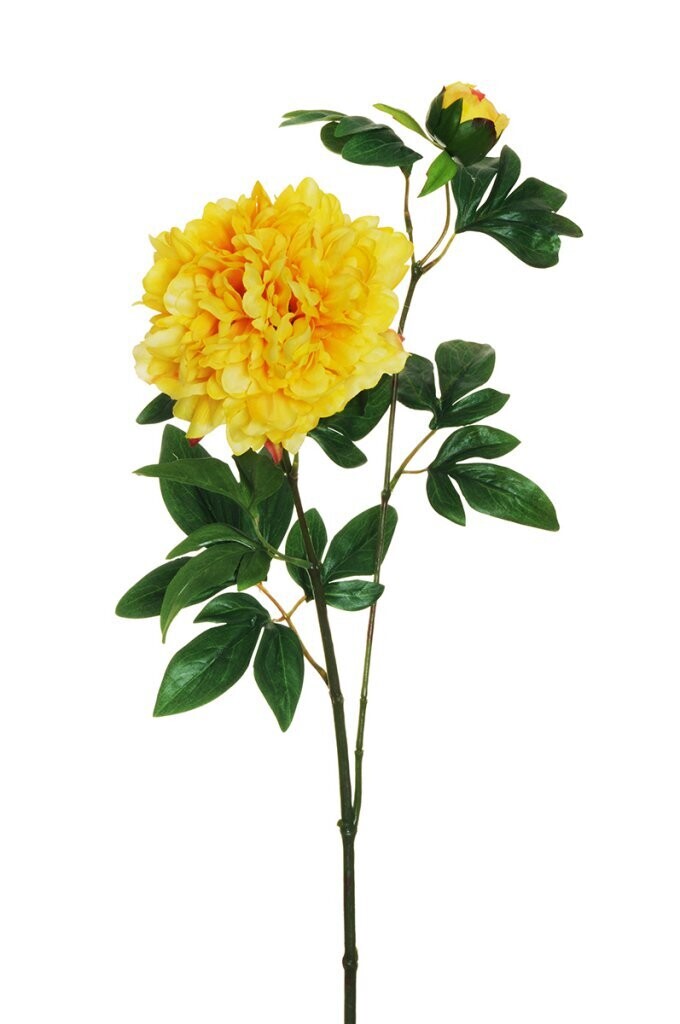 RAMO PEONIAX2 C/1FIORE+1BOCC 69CM GIALLO