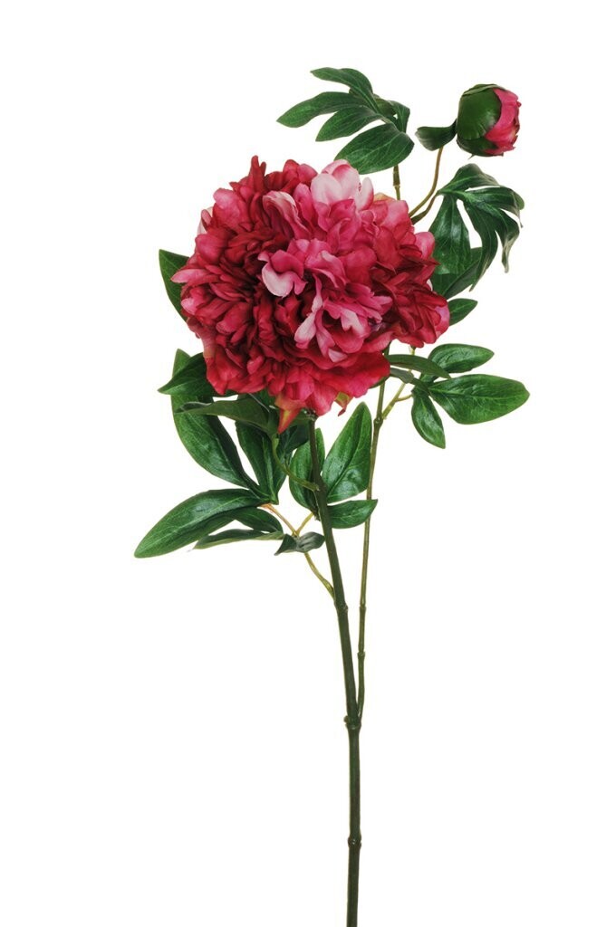RAMO PEONIAX2 C/1FIORE+1BOCC 69CM ROSSO