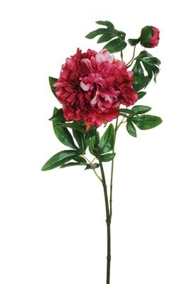 RAMO PEONIAX2 C/1FIORE+1BOCC 69CM ROSSO
