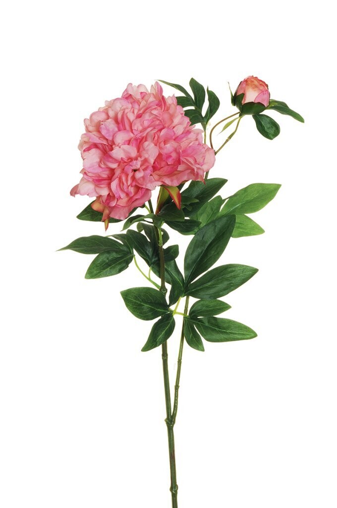 RAMO PEONIAX2 C/1FIORE+1BOCC 69CM ROSA