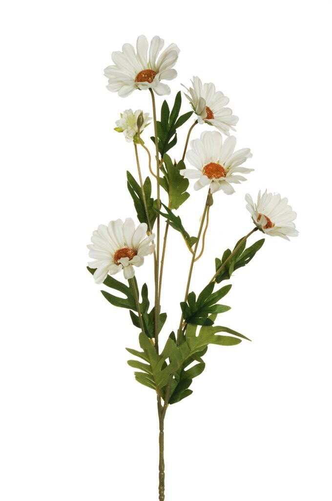 RAMO DI MARGHERITA C/5 FIORI 79CM BIANCO