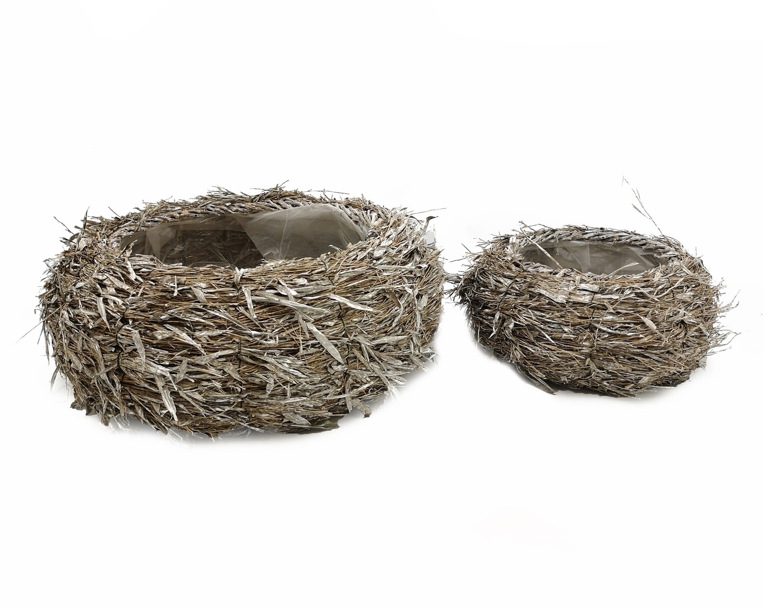 CASPO&#39; ERBA PALUSTRE BOMBATO.29 H14.6