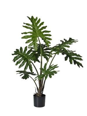 pianta verde cm 120(99cm)  monstera
