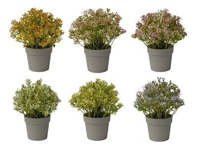 GIPSO IN VASO 15*15*18 CM 6 ASSORT.
